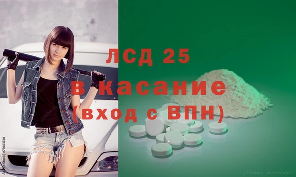 ПСИЛОЦИБИНОВЫЕ ГРИБЫ Белокуриха