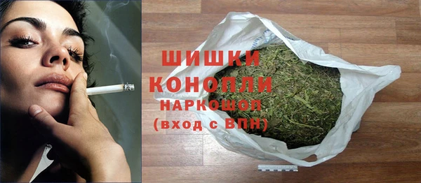 ПСИЛОЦИБИНОВЫЕ ГРИБЫ Белокуриха